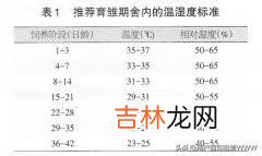 把小鸡养好，需要做哪些工作（小鸡自己在家里养好不好)