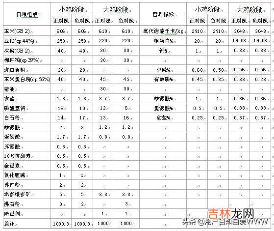 把小鸡养好，需要做哪些工作（小鸡自己在家里养好不好)