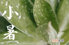 今年小暑是几月几日几点2023