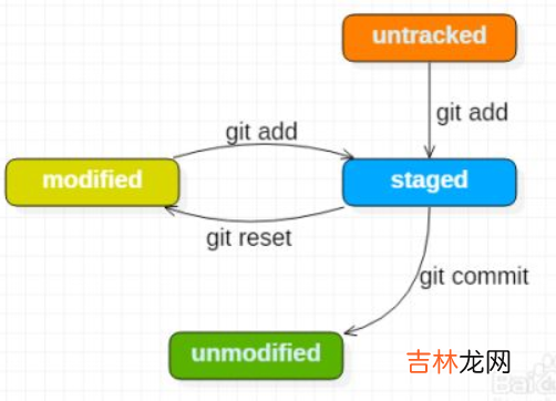 Git创建、diff代码、回退版本、撤回代码，学废了吗