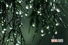 2023年苏州几号入梅 2023年苏州梅雨季节起止日期