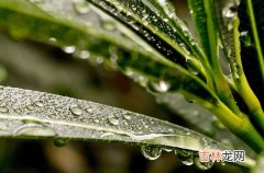 2023年江浙沪梅雨季节是什么时候