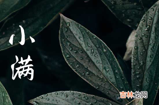 2024小满节气祝福怎么发 2024年小满祝福语句子