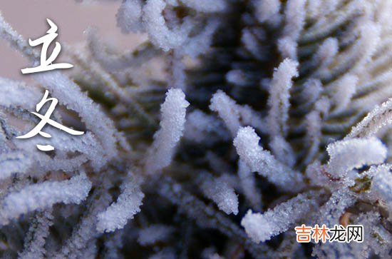 2023立冬祝福语简短 2023立冬时节的温暖问候语