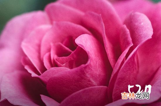 2024情人节祝福语送男朋友100句