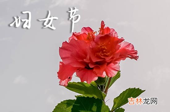 2024三八妇女节祝福语妈妈84句