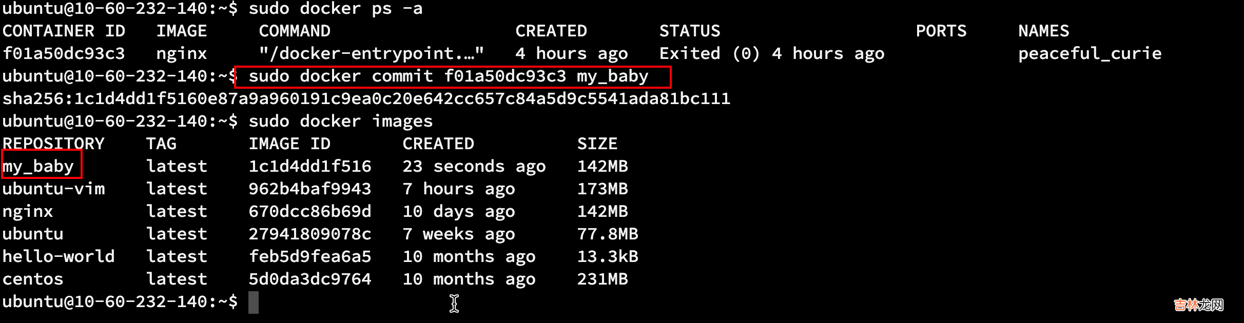 1.docker的基本使用