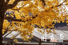 2023十月一日国庆节祝福语给祖国60句