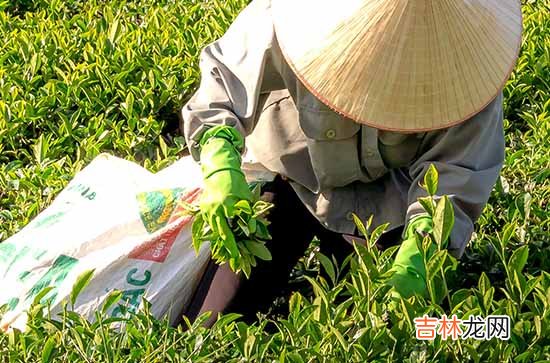 五一节向候朋友祝福语2024