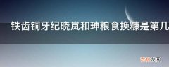 铁齿铜牙纪晓岚和珅粮食换糠是第几集?