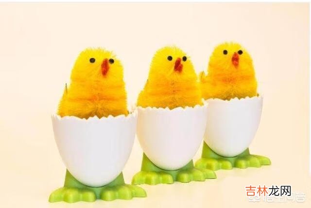 在家里怎么养小鸡（家里养鸡十大忌讳)