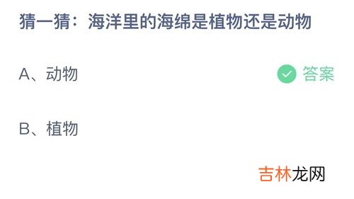 2022蚂蚁庄园8月11日答案最新