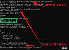 【Azure API 管理】Azure APIM服务集成在内部虚拟网络后，在内部环境中打开APIM门户使用APIs中的