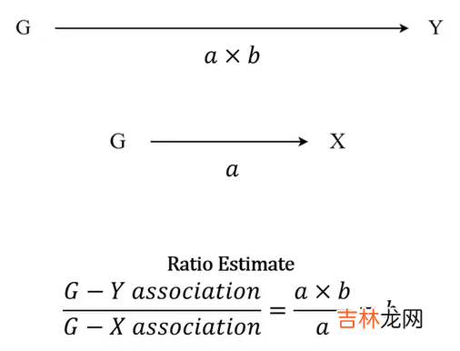 R数据分析：孟德尔随机化实操