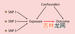 R数据分析：孟德尔随机化实操