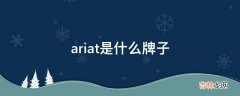 ariat是什么牌子?