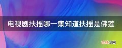 电视剧扶摇哪一集知道扶摇是佛莲?