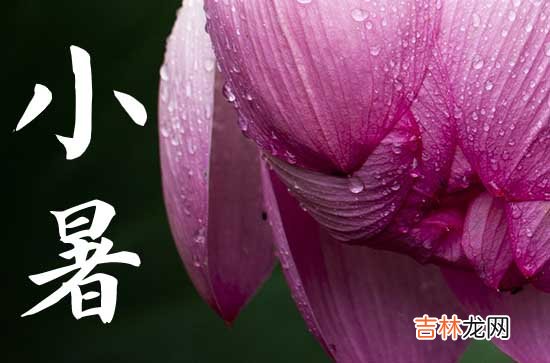 2023年什么时候是小暑节气 2023小暑吃什么