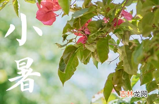小暑是几月几号2023年