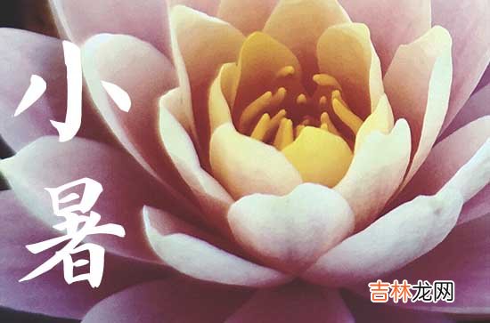 2023小暑节气是哪一天