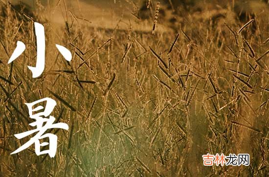 2023小暑节气具体时间