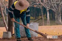 2024年劳动节怎么写祝福语10条