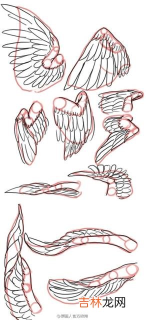 翅膀怎么画（白衣天使的翅膀怎么画)
