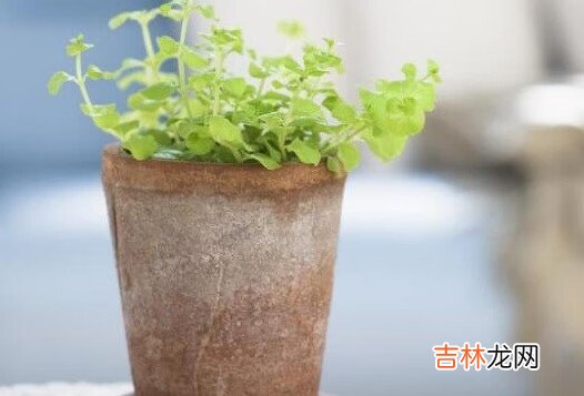 送教师礼物排行榜2018，送老师最有心意礼物推荐