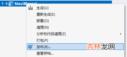 发布 .NET 7 MAUI / MAUI Blazor 应用到 Windows 应用商店