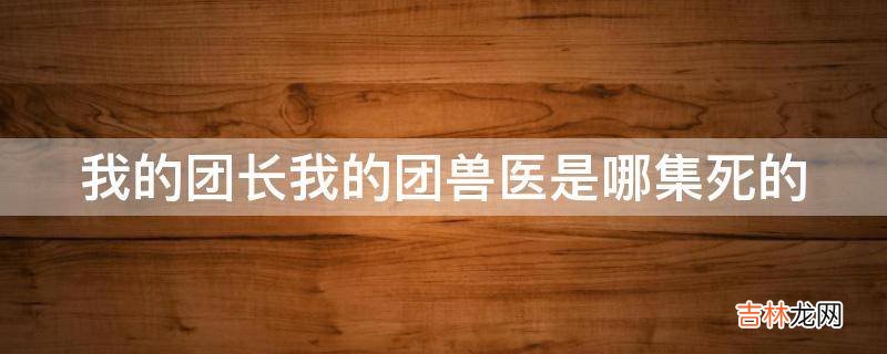 我的团长我的团兽医是哪集死的?