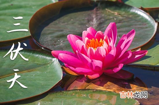 2023年伏天起止时间 2023年伏天多少天