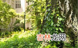 表彰大会流程 表彰大会流程