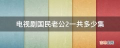 电视剧国民老公2一共多少集?