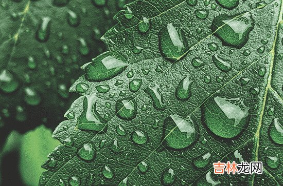 2023年7月雨水多吗 7月天气怎么样