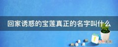 回家诱惑的宝莲真正的名字叫什么?