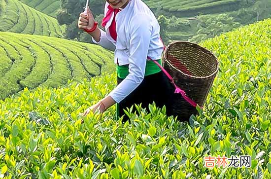 2024年劳动节员工祝福微信