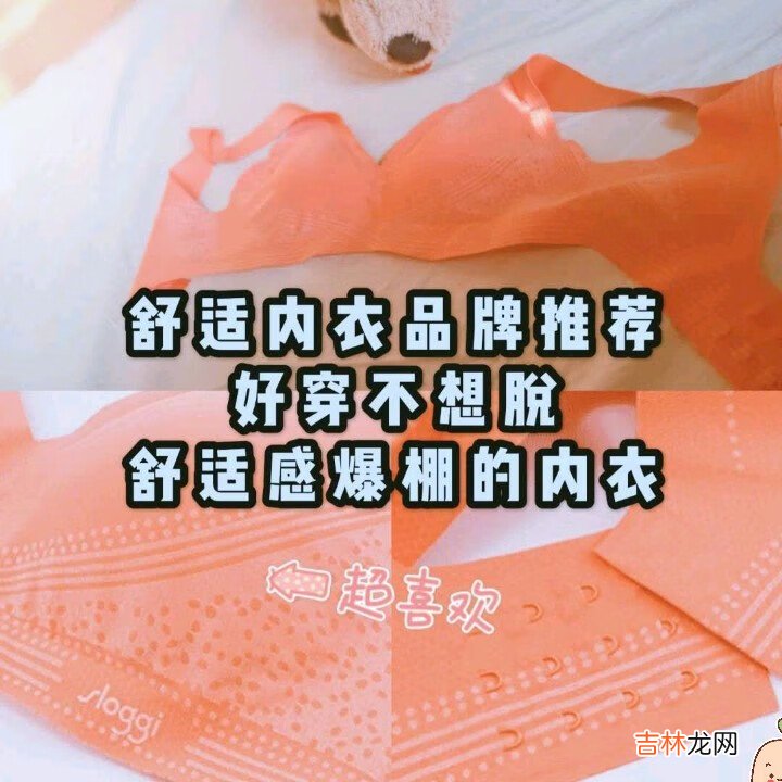 舒适内衣品牌推荐丨好穿不想脱舒适感爆棚的内衣 作为一名资深内衣达人