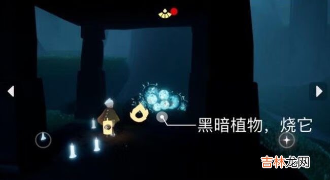光遇2022年8月3日每日任务怎么完成