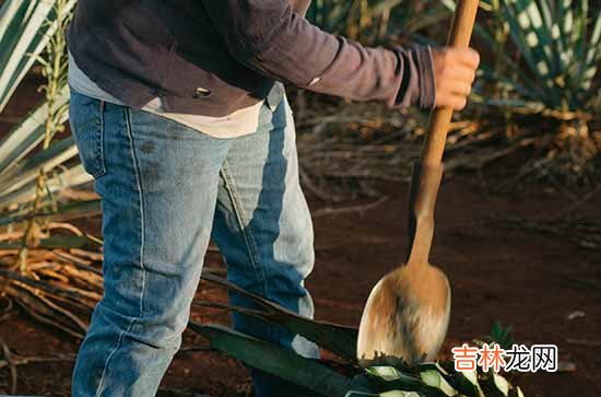 劳动节医务祝福语2024年