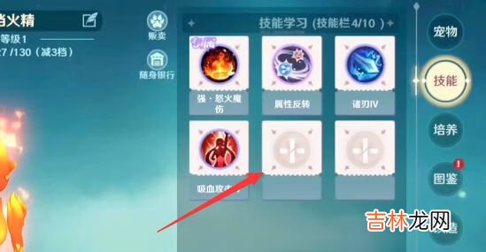 魔力宝贝:旅人宠物技能书在哪里学