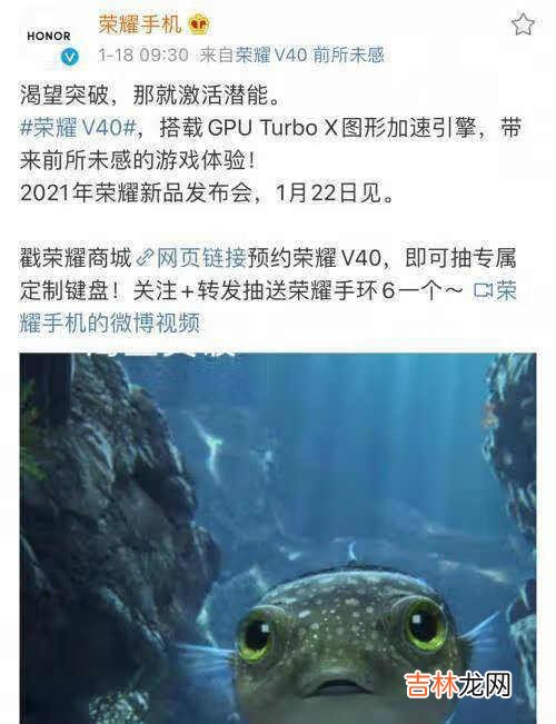 荣耀v40手机参数_荣耀v40手机参数配置详情