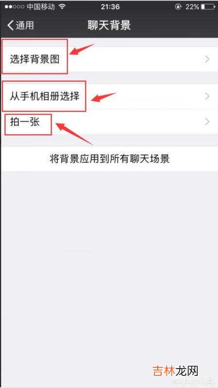微信怎么设置背景图片（微信换主界面壁纸)