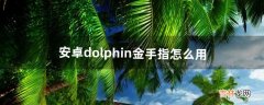 安卓dolphin金手指怎么用（安卓dolphin模拟器)