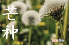 芒种体现的人生寓意 芒种节气的文化寓意