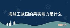 海贼王战国的果实能力是什么?