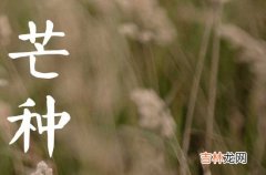 2023年芒种节气适合理发吗