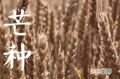 2023芒种是哪一天的什么时候