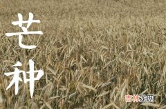 2023芒种是几月几日日几点