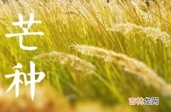 今年芒种准确时间2023年