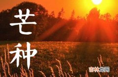 2023年芒种时间几点几分几秒